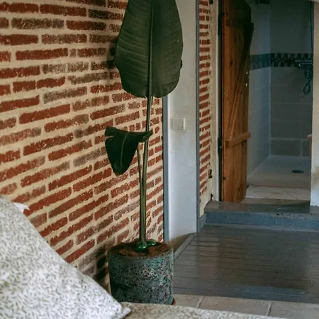 O Saudade - Centre *