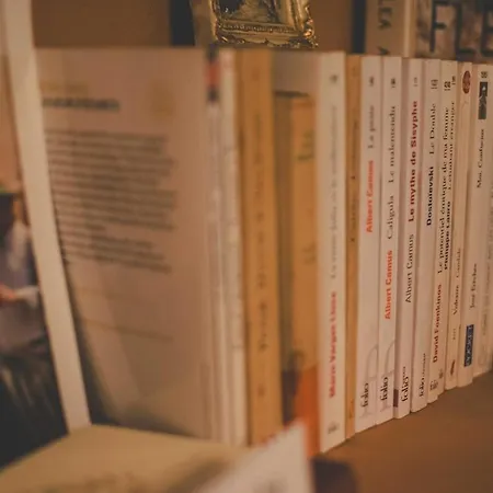 O Saudade - Centre Perpignan