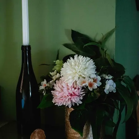 Apartament O Saudade - Centre *