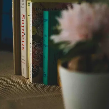 Lägenhet O Saudade - Centre *