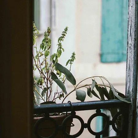 Lägenhet O Saudade - Centre